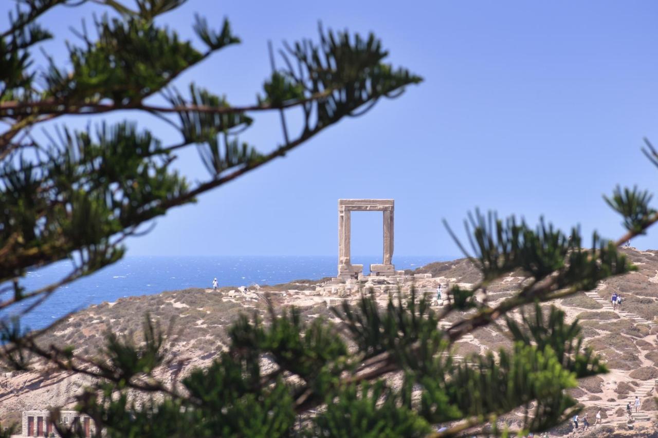 Mariet Naxos Spa & Suites Naxos City Esterno foto